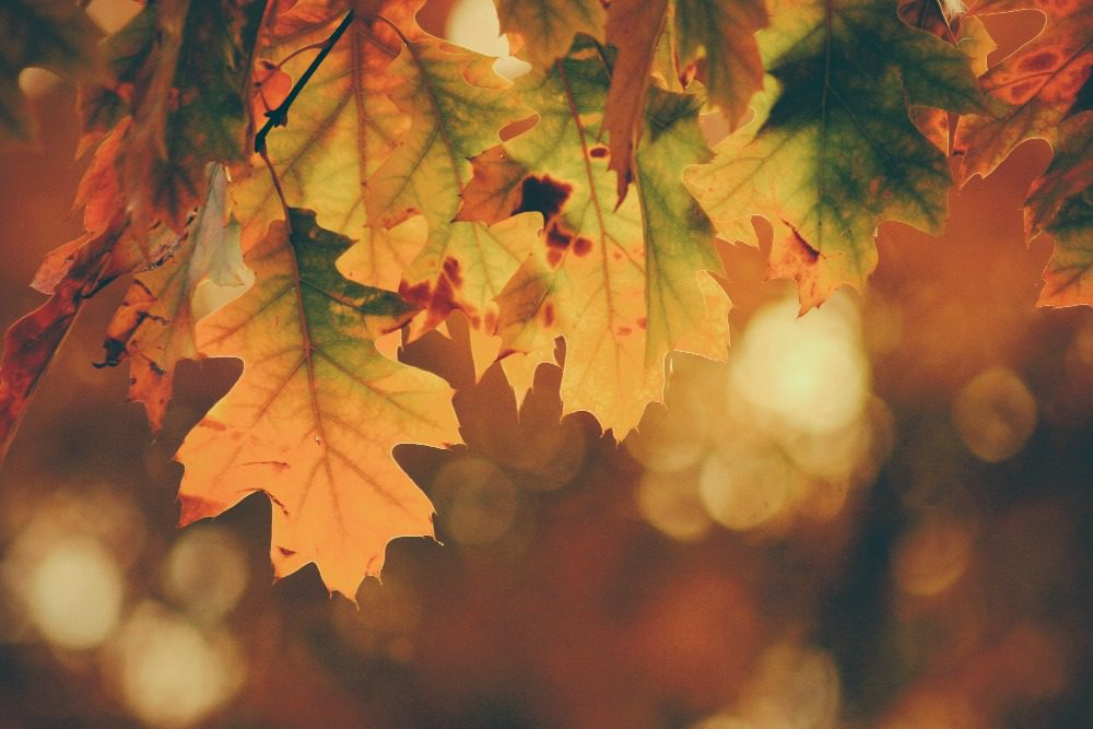 Autumn Budget Summary 2021