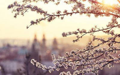 Spring Budget Summary 2022