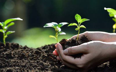 Investing through volatile times
