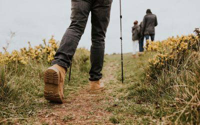 5 interesting insights from the investment market in 2025