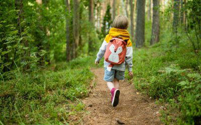 How to be a successful investor: Following a strategy that’s right for you