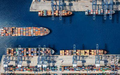 Investment market update: February 2026